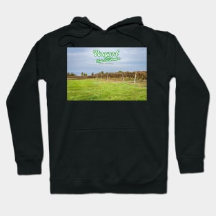 Vineyard on Lake Erie Shoreline Hoodie